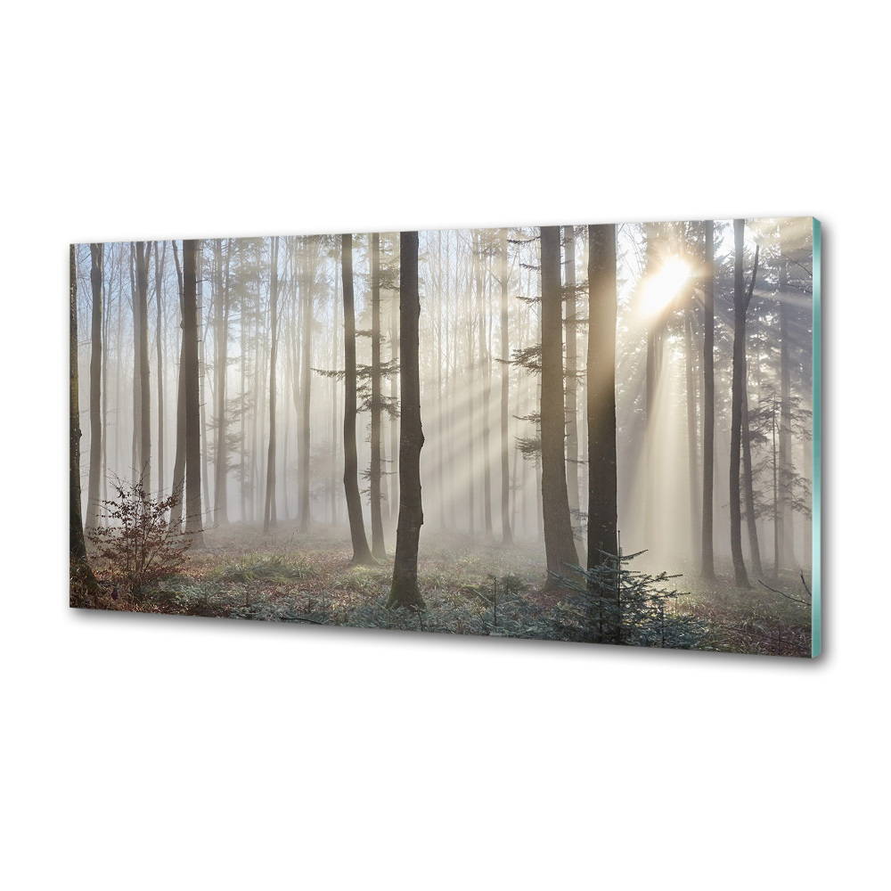 Panel dekor szkło Mgła w lesie