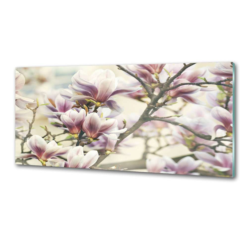 Panel między meble w kuchni Magnolia