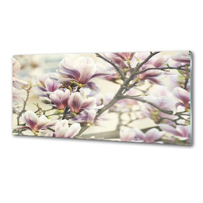 Panel między meble w kuchni Magnolia