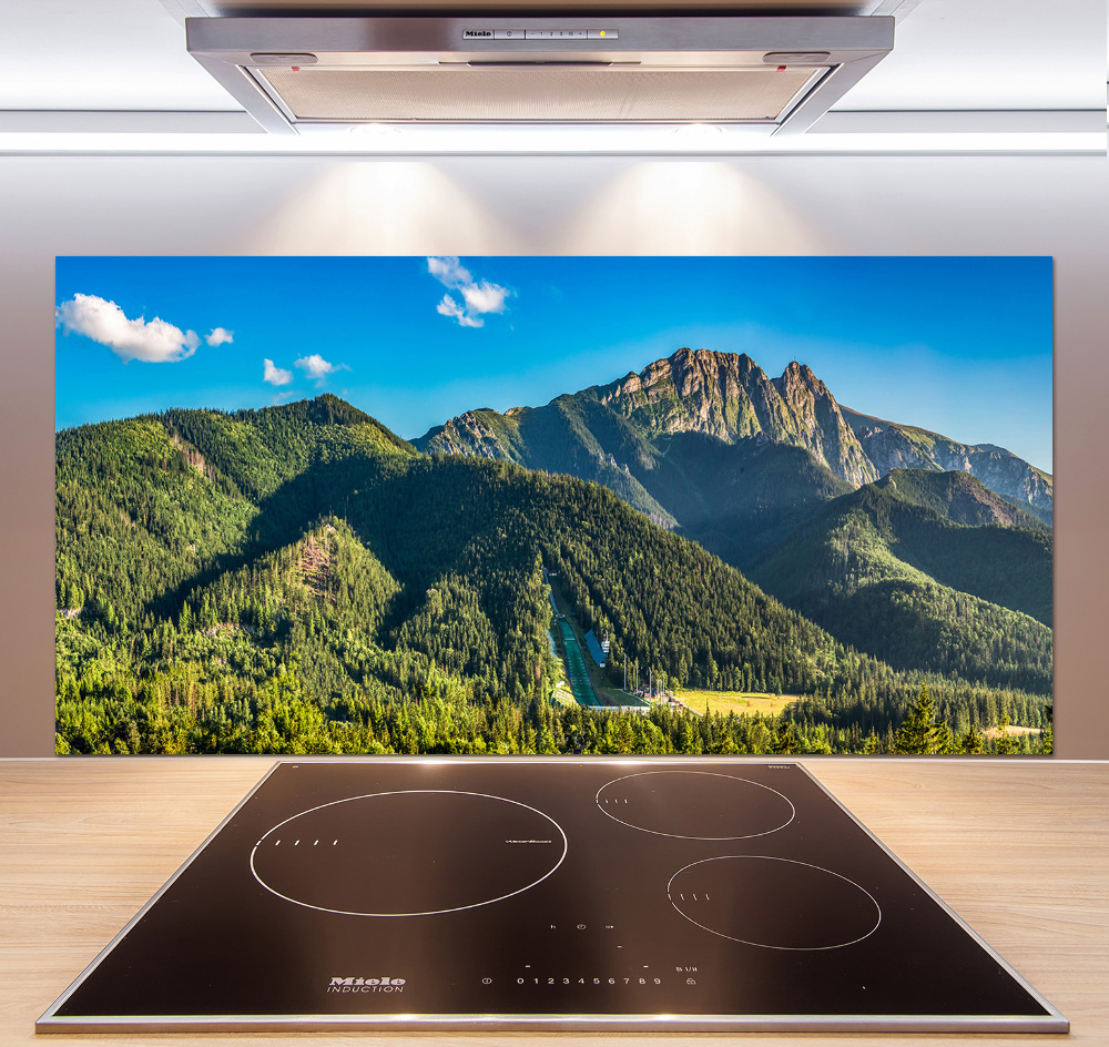Panel do kuchni Panorama Tatr