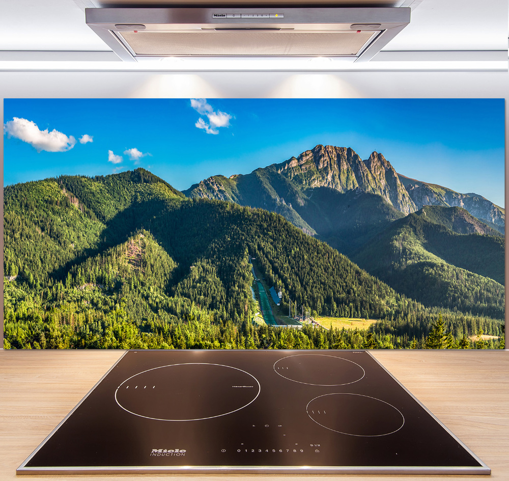 Panel do kuchni Panorama Tatr