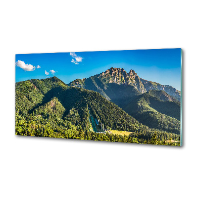 Panel do kuchni Panorama Tatr