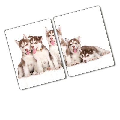 Deska kuchenna szklana Szczeniaki Husky