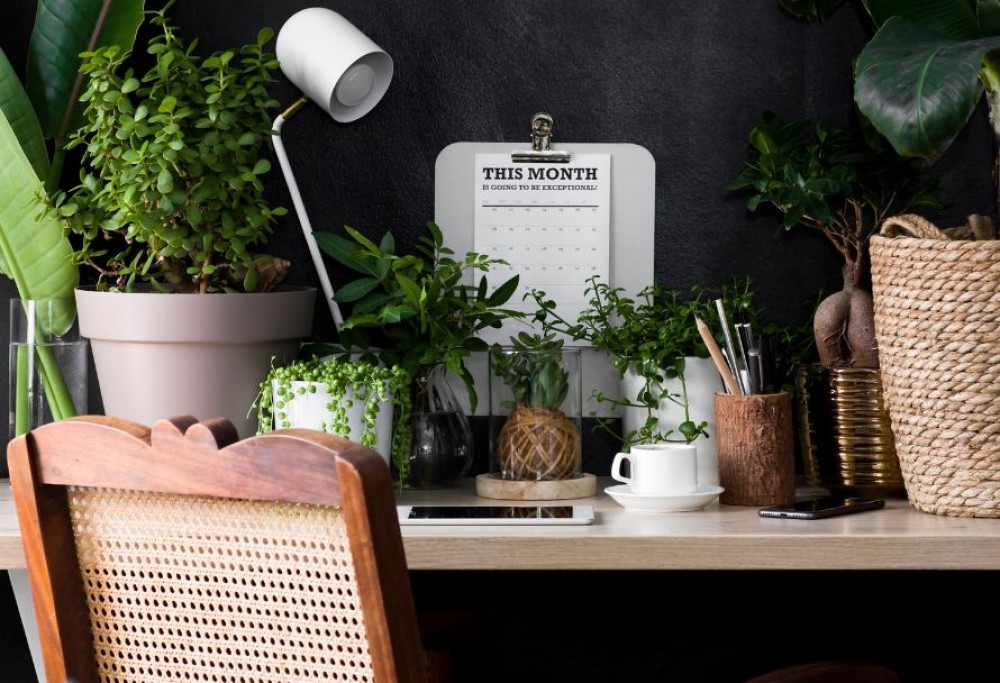 Biophilic design